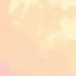 Profile picture of Sarah