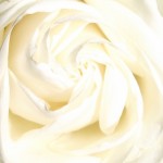 Profile picture of Lee