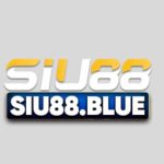 Profile picture of siu88blue