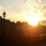 Profile picture of Jazz