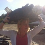 Profile picture of Sam