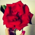 Profile picture of Jorja12