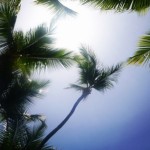 Profile picture of sophie