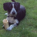 Profile picture of Jos