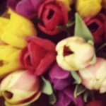 Profile picture of Rebecca