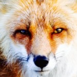 Profile picture of natalie