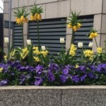 Profile picture of Danielle