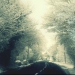 Profile picture of Che M