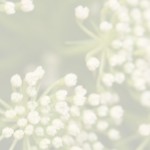 Profile picture of Jill